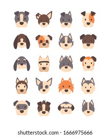 set of icons of faces different breeds of dogs vector illustration design