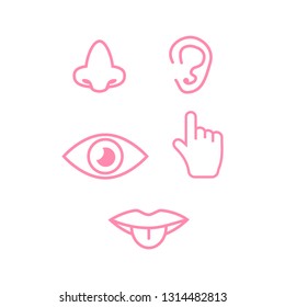 Set of icons of the five human senses.