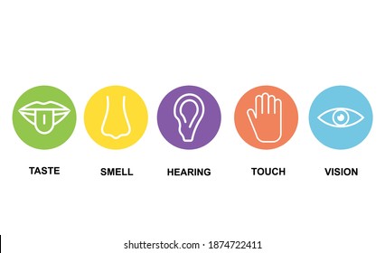 Set of icons of the five human senses: sight, smell, hearing, touch, taste isolated on white background. Vector illustration. Eps 10