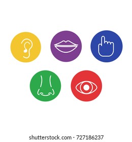 Set of icons of the five human senses: sight, smell, hearing, touch, taste. Vector Illustration