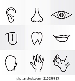 set icons with flat parts of the human body ear nose eyes tongue teeth mouth lips head arm leg  foot