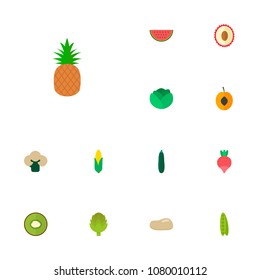 Set of  icons flat style symbols with watermelon, cauliflower, corn and other icons for your web mobile app logo design.