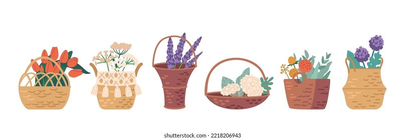 Set of Icons Flowers in Wicker Baskets Isolated on White Background. Beautiful Spring and Summer Blossoms Bouquets, Gifts for Womens Day, Birthday or Dating. Cartoon Vector Illustration