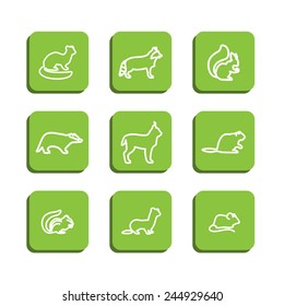 Set with icons - forest animals. A vector.