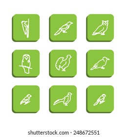 Set with icons - forest birds. A vector.