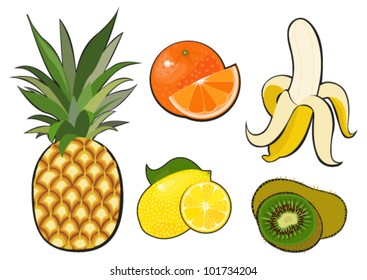 Set icons with fruits