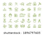 Set of icons. Growing seedlings plant shoots. Agriculture and gardener. Biotechnology plants. Sowing seeds. Vector contour green line.