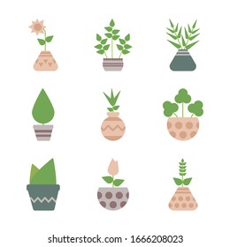 conjunto de iconos de las plantas domésticas con diseño de ilustración vectorial en pozos