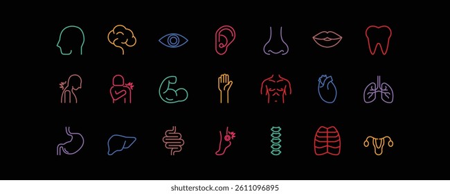 Set of icons for the Human Body. Editable stroke. Vector illustration