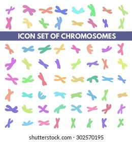 set of icons with human chromosome