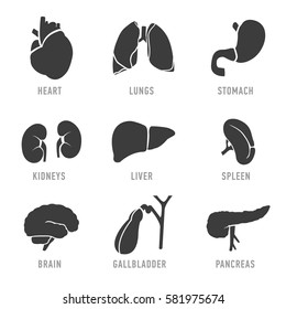 Set with icons of human organs. Vector illustration