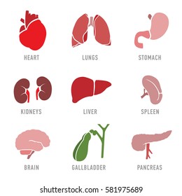 Set with icons of human organs. Vector illustration