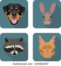 Un conjunto de íconos con la imagen de la cara de un animal: perro, conejo, mapache, gato. un conjunto de iconos para una ilustración vectorial plana. Mascotas