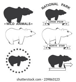 set of icons with the image of a bear
