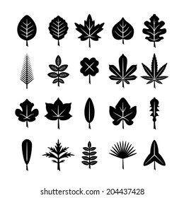 Set icons of leaf isolated on white. Vector illustration