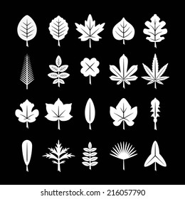 Set icons of leaf isolated on black. Vector illustration