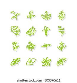 Set of icons - a leafy vegetables. A vector.