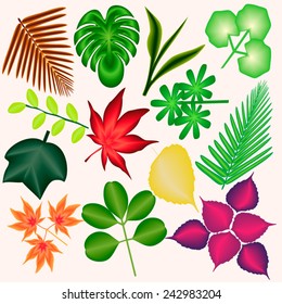 set of icons of leaves
