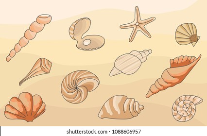 set of icons made of shells on sand background, vector illustration.Summer concept with seashells and starfish.
 Vector illustration.