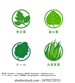 Set of icons and marks for green juice ingredients, angelica leaf, mulberry leaf, kale, and barley leaf