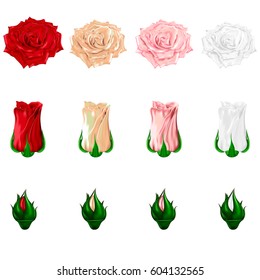 Set of icons of multicolored roses on a white background.Vector