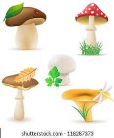 set icons mushrooms vector illustration isolated on white background