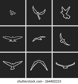 set of icons on the theme of Birds