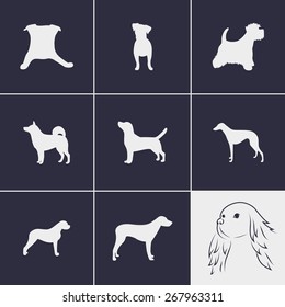 set of icons on a theme dogs