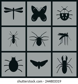Set of Icons on a theme Insects