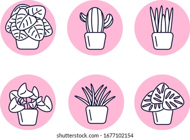 conjunto de iconos sobre el tema "Plantas"