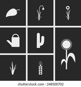 Set of icons on a theme plants