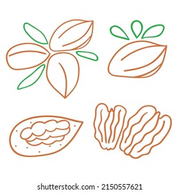 Set of icons. Pecan nut. Vector hand drawn illustrations on white background.