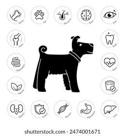 A set of icons for pet. The outline icons are well scalable and editable. Contrasting elements are good for different backgrounds. EPS10.	