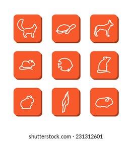 Set with icons - pets. A vector.