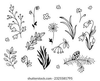 Set of icons of plants, leaves and flowers - doodle drawings by hand