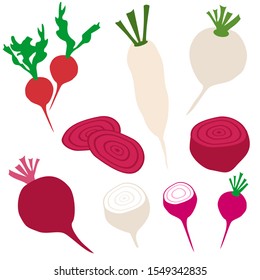 Set Icons Radish Beet Vector Clipart Stock Vector (Royalty Free ...