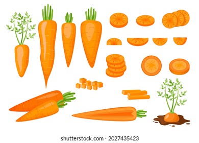 Set of Icons Raw Carrots Half, Sliced, Diced and Cut Into Strips and Slices. Fresh Organic and Healthy Vegetarian Vegetables Growing in Soil Isolated on White Background. Cartoon Vector Illustration