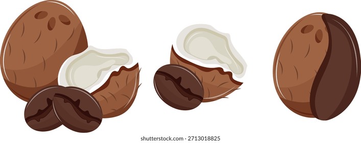 Ikonensatz von reifen exotischen Kokosnüssen in ganz und halb offener Form mit Kaffeebohnen in der Nähe, für Menüs, mobile Anwendungen, Verpackungen und Infografiken