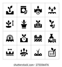 Set icons of seed and seedling isolated on white. Vector illustration