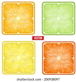Set of icons Square fruits slices. Vector Illustration. Isolated on white background.