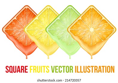 Set of icons Square fruits slices with fresh juice. Vector Illustration. Isolated on white background.