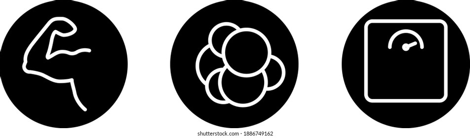 set of icons symbolising protein, fat and carbohydrate, Nutrient Icon, vector illustration