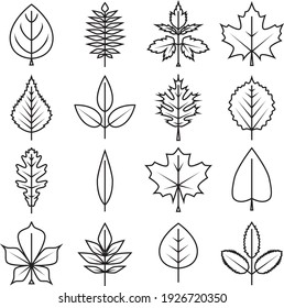 set icons of tree leaves of different types in autumn and summer in black line