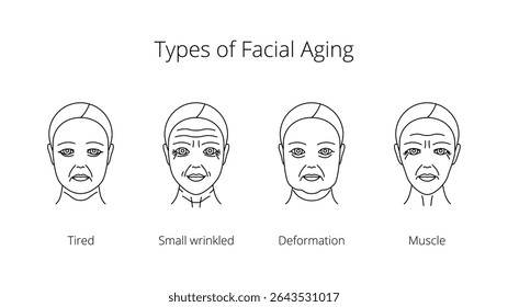 Set of icons types of facial aging: tired, small wrinkled, deformation, muscle. Women aging process illustration line style, editable stroke 