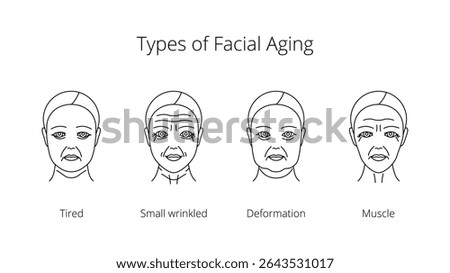 Set of icons types of facial aging: tired, small wrinkled, deformation, muscle. Women aging process illustration line style, editable stroke 