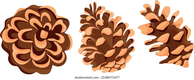 set of icons of various forest cones from a coniferous plant, for Christmas cards or decorations