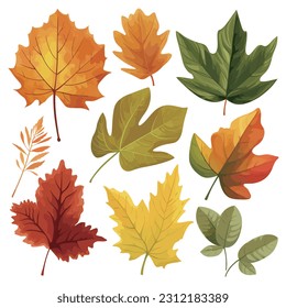 A set of icons with various leaves, autumn natural leaves botanical vector illustration