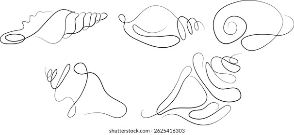 set of icons of various shells, mollusks and shells drawn with several lines in line art style, for various marine designs and company logos