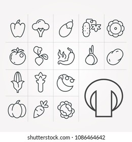 Set of icons with vegetables