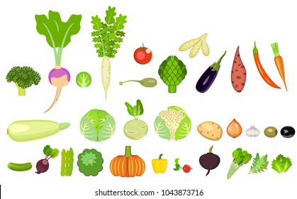 a set of icons of vegetables of different species. Vegetarian products. healthy eating